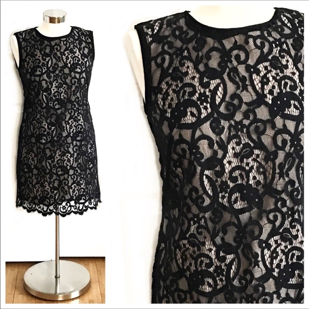 LOFT black and blush lace cocktail dress!